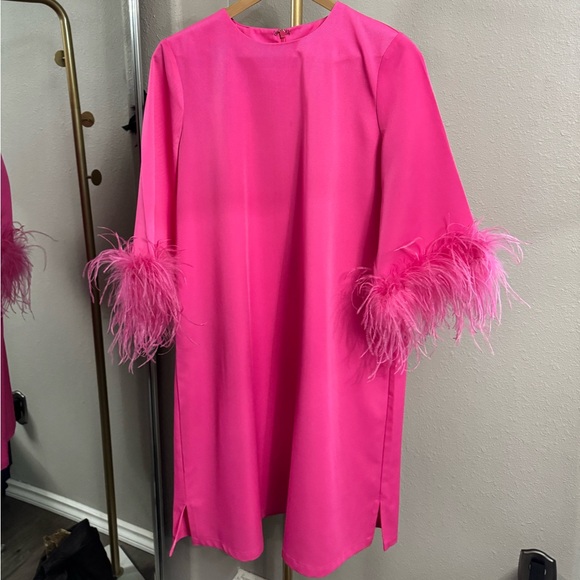 Tuckernuck Dresses & Skirts - Tuckernuck Pink Dress with Feathered Sleeves
This dress was altered see last pic